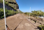 Non-developable land for sale on España, Buenavista del Norte, ref: TR386717 photo