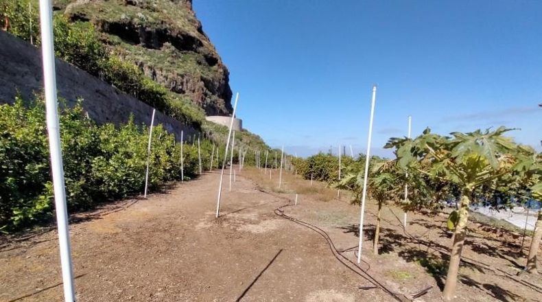Santa Cruz de Tenerife - Buenavista del Norte - 29520m2