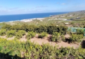 Non-developable land for sale on España, Buenavista del Norte, ref: TR386717 photo