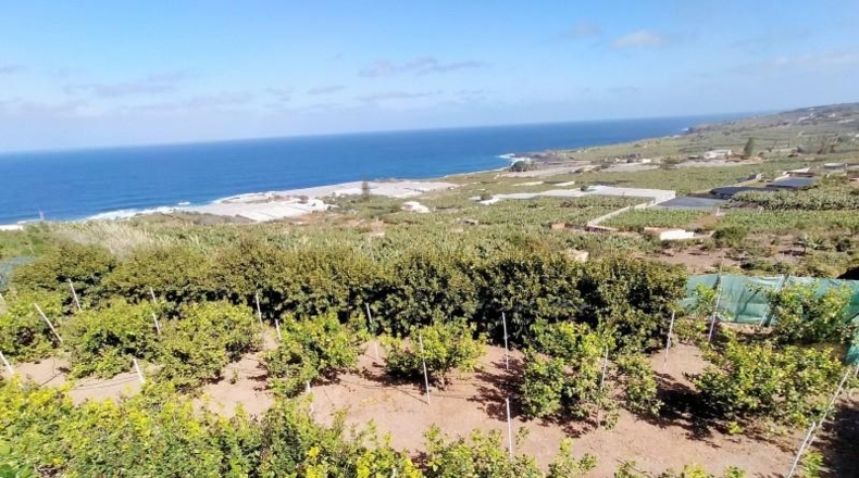 Santa Cruz de Tenerife - Buenavista del Norte - 29520m2