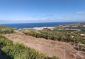 Non-developable land for sale on España, Buenavista del Norte, ref: TR386717 photo