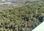 Non-developable land for sale on España, Buenavista del Norte, ref: TR386717 photo