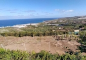 Non-developable land for sale on España, Buenavista del Norte, ref: TR386717 photo
