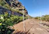 Non-developable land for sale on España, Buenavista del Norte, ref: TR386717 photo