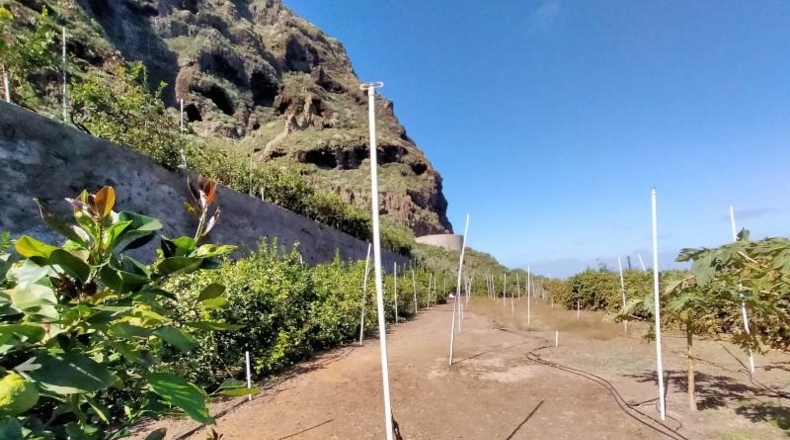 Santa Cruz de Tenerife - Buenavista del Norte - 29520m2