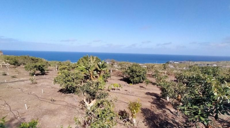 Santa Cruz de Tenerife - Buenavista del Norte - 29520m2