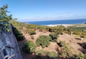 Non-developable land for sale on España, Buenavista del Norte, ref: TR386717 photo