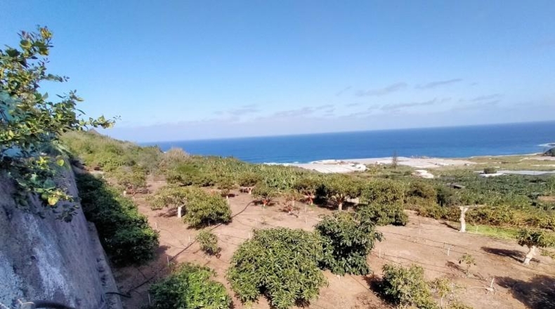Santa Cruz de Tenerife - Buenavista del Norte - 29520m2