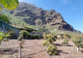 Non-developable land for sale on España, Buenavista del Norte, ref: TR386717 photo