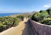 Non-developable land for sale on España, Buenavista del Norte, ref: TR386717 photo