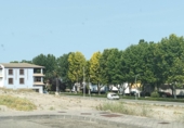 Terreny no urbanitzable en lloguer a Mengíbar ref.: TR393929 foto