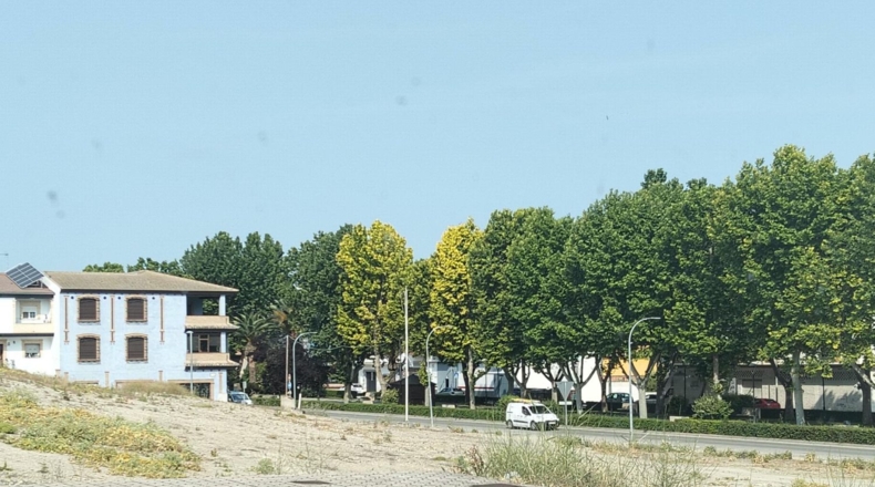 Jaén - Mengíbar - 1000m2