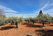 Xalet independent amb terreny en venda a Ontinyent ref.: TR386081 foto