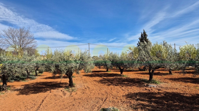 Valencia - Onteniente - 4311m2