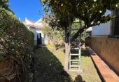 Casa de poble en venda a Jerez de la Frontera ref.: TR385892 foto