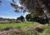 Land suitable for development for sale in Alicante ref: TR385494 photo