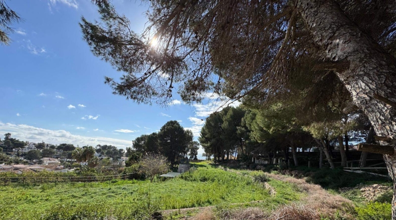 Alicante - Moraira - 5500m2