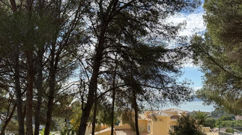 Alicante - Moraira - 5500m2