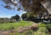 Land suitable for development for sale in Alicante ref: TR385494 photo
