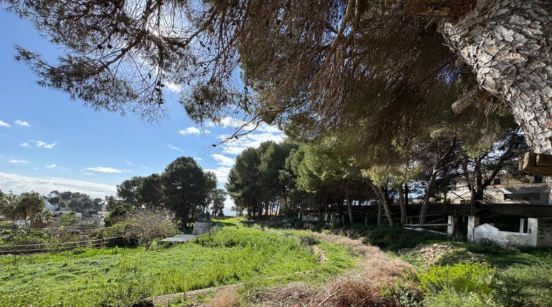 Alicante - Moraira - 5500m2