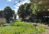 Land suitable for development for sale in Alicante ref: TR385494 photo