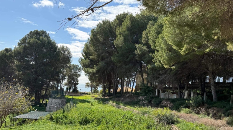 Alicante - Moraira - 5500m2
