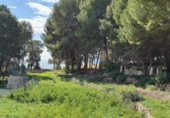 Land suitable for development for sale in Alicante ref: TR385494 photo