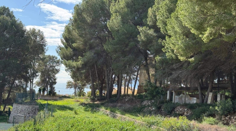 Alicante - Moraira - 5500m2