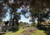 Land suitable for development for sale in Alicante ref: TR385494 photo