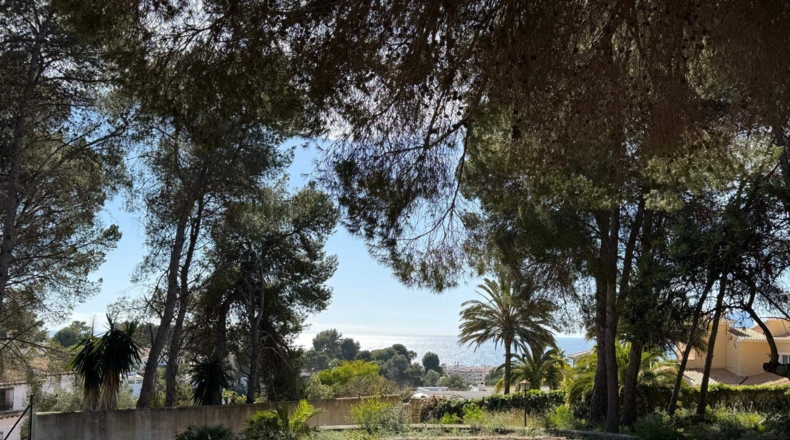 Alicante - Moraira - 5500m2