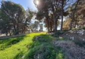 Land suitable for development for sale in Alicante ref: TR385494 photo