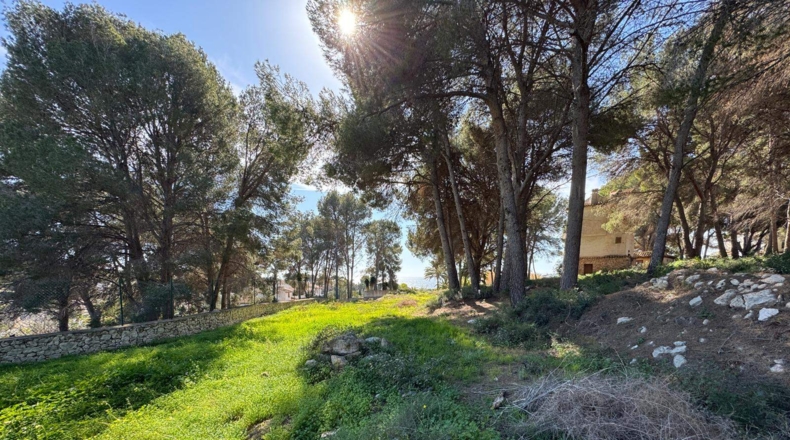Alicante - Moraira - 5500m2