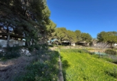 Land suitable for development for sale in Alicante ref: TR385494 photo