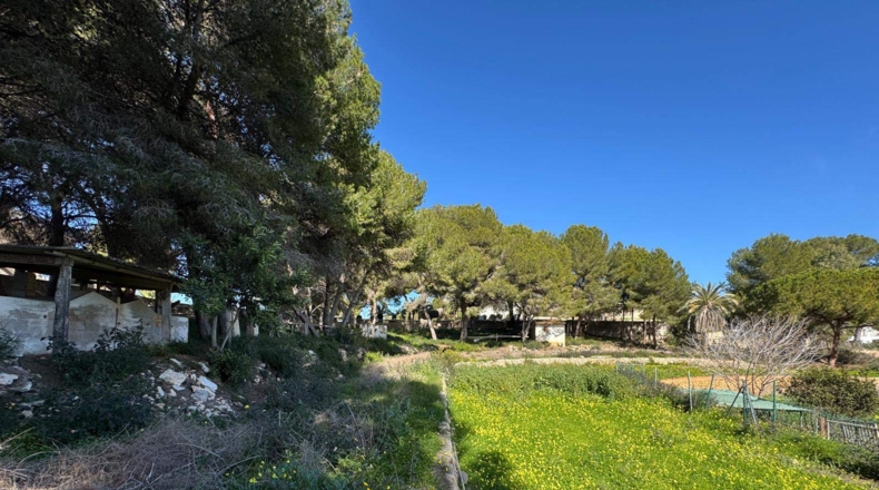 Alicante - Moraira - 5500m2