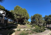 Land suitable for development for sale in Alicante ref: TR385494 photo