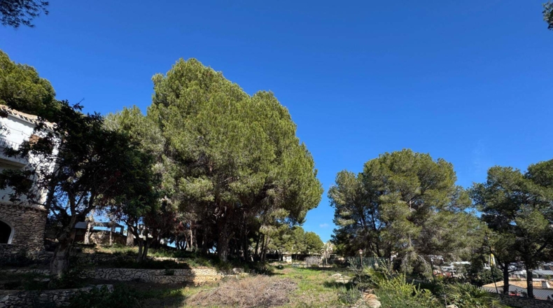 Alicante - Moraira - 5500m2