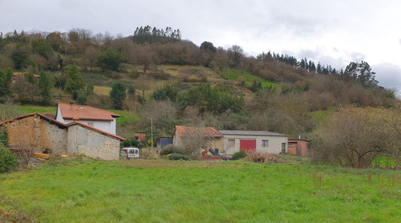 Asturias - Grado - 312m2