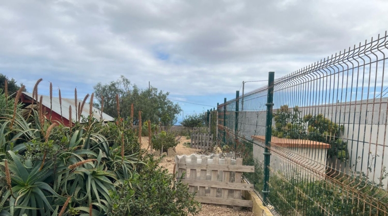Santa Cruz de Tenerife - Villa de Arico - 2255m2