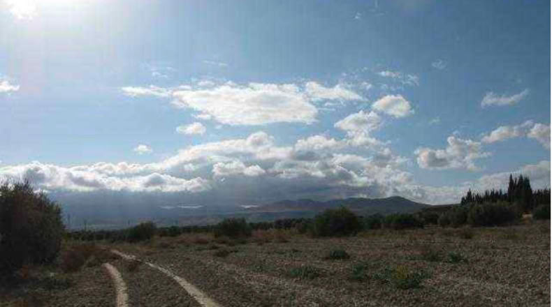 Granada - Baza - 292694m2