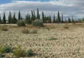 Finca rústica en venta en la Casería del Magistral, Baza, ref: TR379497 foto
