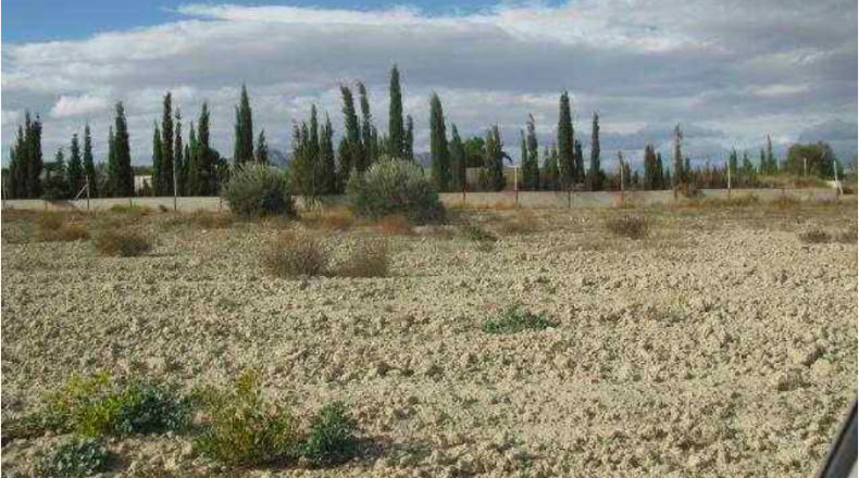 Granada - Baza - 292694m2