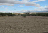 Finca rústica en venta en la Casería del Magistral, Baza, ref: TR379497 foto
