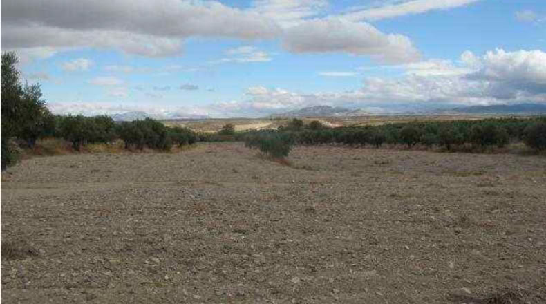 Granada - Baza - 292694m2