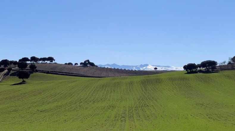 Jaén - Huelma - 3210000m2