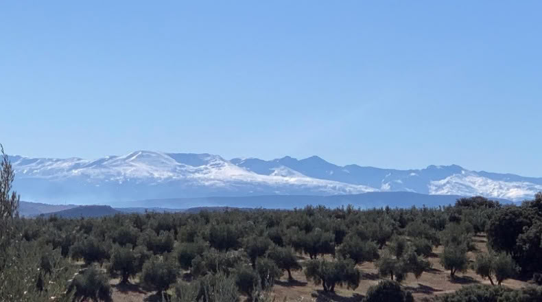 Jaén - Huelma - 3210000m2