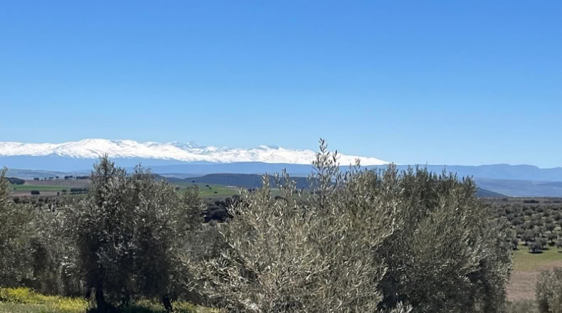 Jaén - Huelma - 3210000m2