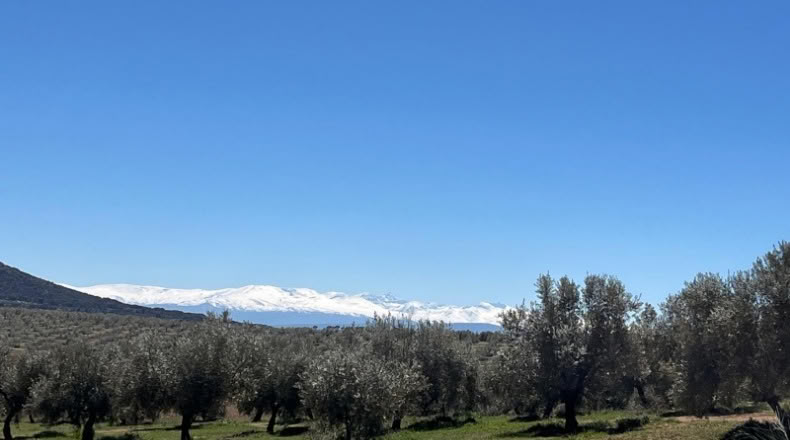 Jaén - Huelma - 3210000m2