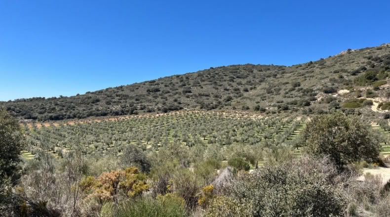 Jaén - Huelma - 3210000m2