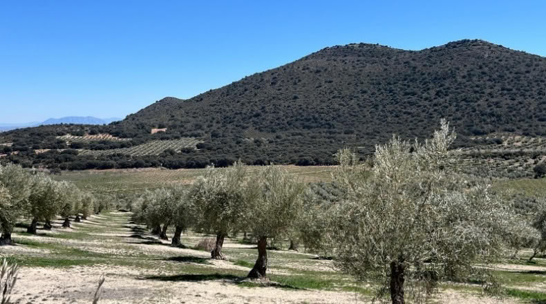 Jaén - Huelma - 3210000m2