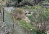 Terreno no urbanizable en venta en la Málaga, ref: TR386122 foto
